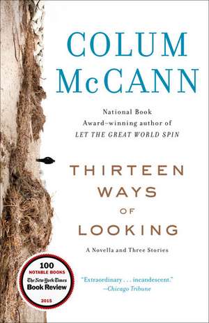 Thirteen Ways of Looking de Colum McCann