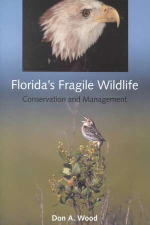 Florida's Fragile Wildlife: Conservation and Management de Donald A. Wood