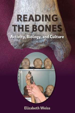 Reading the Bones: Activity, Biology, and Culture de Elizabeth Weiss