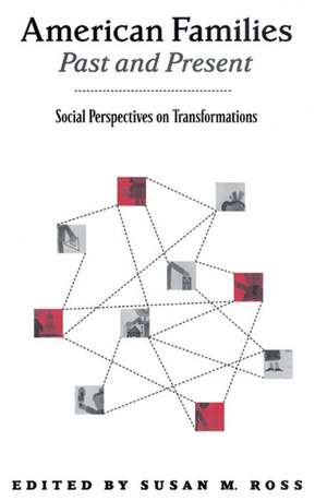 American Families Past and Present: Social Perspectives on Transformations de Professor Susan Ross