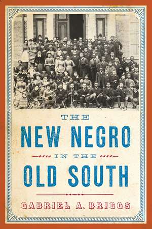 The New Negro in the Old South de Gabriel A. Briggs