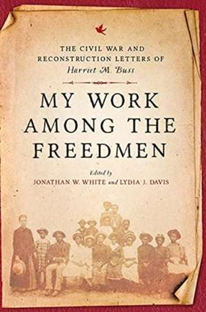 My Work among the Freedmen de Hilary Green