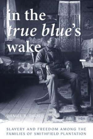 In the True Blue's Wake de Daniel B. Thorp