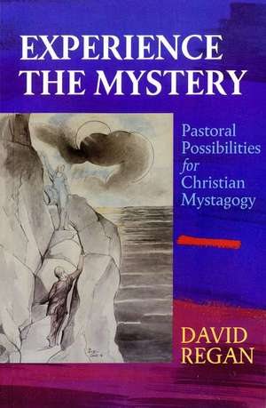 Experience the Mystery de David Regan