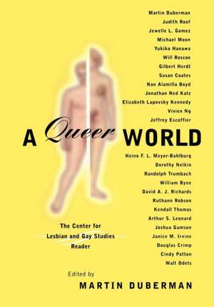 Queer Representations – Reading Lives, Reading Cultures (A Center for Lesbian and Gay Studies Book) de Martin Duberman