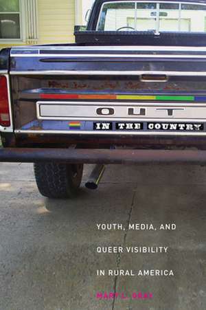 Out in the Country – Youth, Media, and Queer Visibility in Rural America de Mary L. Gray