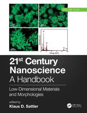 21st Century Nanoscience – A Handbook: Low-Dimensional Materials and Morphologies (Volume Four) de Klaus D. Sattler