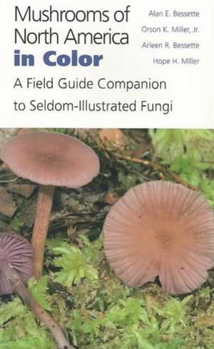 Mushrooms of North America in Color: A Field Guide Companion to Seldom-Illustrated Fungi de Alan E. Bessette