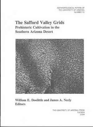 The Safford Valley Grids: Prehistoric Cultivation in the Southern Arizona Desert de William E. Doolittle