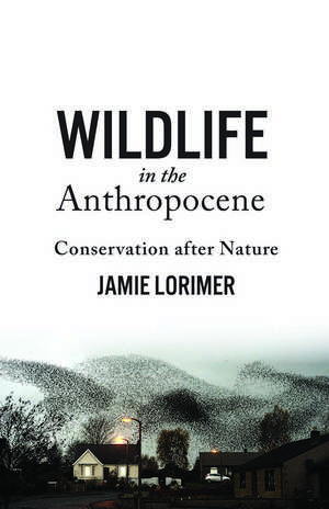 Wildlife in the Anthropocene: Conservation after Nature de Jamie Lorimer