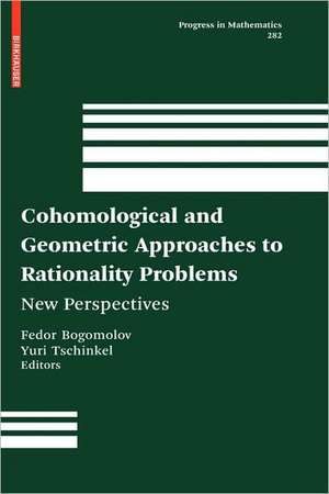 Cohomological and Geometric Approaches to Rationality Problems: New Perspectives de Fedor Bogomolov