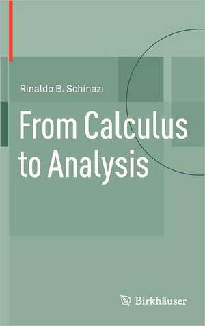 From Calculus to Analysis de Rinaldo B. Schinazi