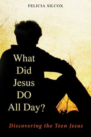 What Did Jesus Do All Day?: Discovering the Teen Jesus de Felicia Silcox