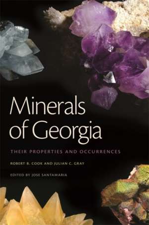 Minerals of Georgia: Their Properties and Occurrences de Robert B. Cook