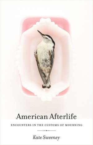 American Afterlife de Kate Sweeney