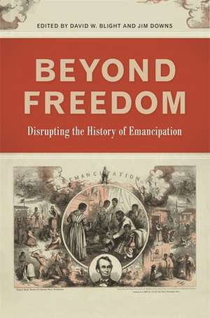 Beyond Freedom de David W Blight