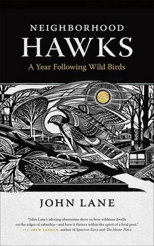 Neighborhood Hawks de John Lane