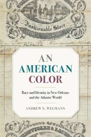 An American Color de Andrew N Wegmann