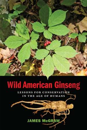 Wild American Ginseng de James McGraw