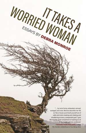 It Takes a Worried Woman de Debra Monroe