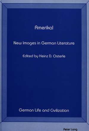 Amerika! New Images in German Literature de Heinz Dieter Osterle