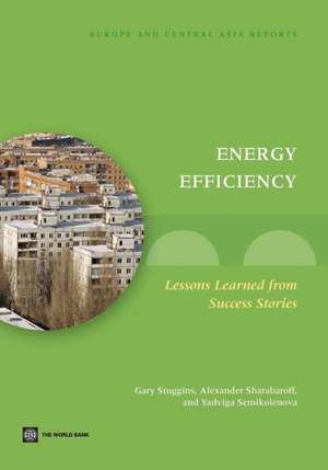 Energy Efficiency: Lessons Learned from Success Stories de Gary Stuggins