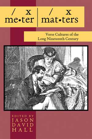 Meter Matters: Verse Cultures of the Long Nineteenth Century de Jason David Hall