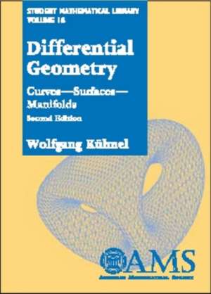 Differential Geometry de Wolfgang Kuhnel