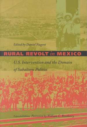 Rural Revolt in Mexico – U.S. Intervention and the Domain of Subaltern Politics de Daniel Nugent