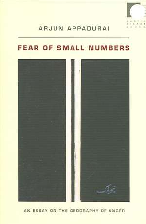 Fear of Small Numbers – An Essay on the Geography of Anger de Arjun Appadurai