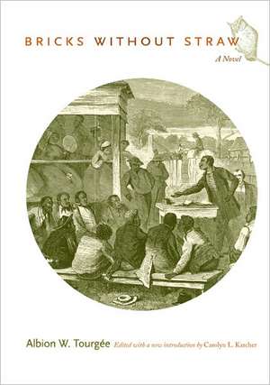 Bricks Without Straw de Carolyn L Karcher