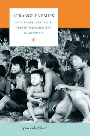 Strange Enemies – Indigenous Agency and Scenes of Encounters in Amazonia de Aparecida Vilaça