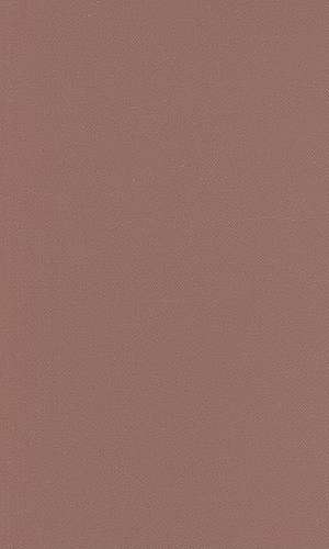 Refracted Visions de Karen Strassler