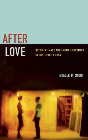 After Love de Noelle M Stout
