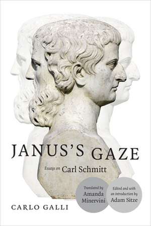 Janus's Gaze de Carlo Galli