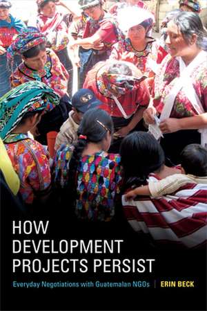 How Development Projects Persist – Everyday Negotiations with Guatemalan NGOs de Erin Beck