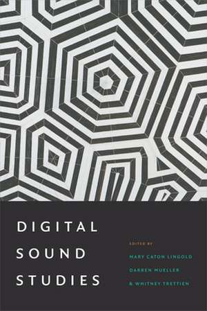 Digital Sound Studies de Mary Caton Lingold