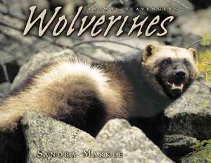 Wolverines de Sandra Markle