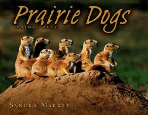 Prairie Dogs: Animal Prey de Sandra Markle