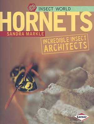 Hornets: Incredible Insect Architects de Sandra Markle