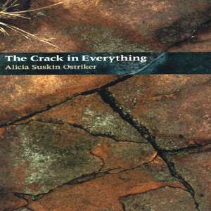The Crack In Everything de Alicia Suskin Ostriker