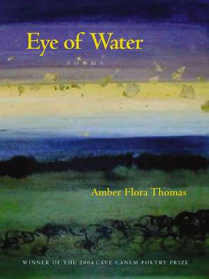 Eye of Water de Amber Flora Thomas