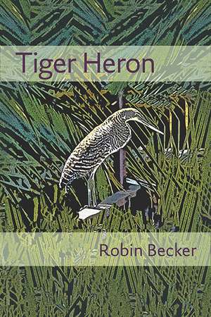 Tiger Heron de Robin Becker