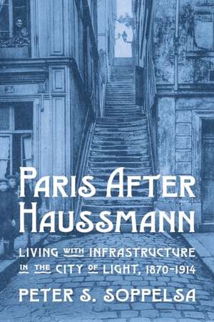 Paris After Haussmann de Peter S. Soppelsa
