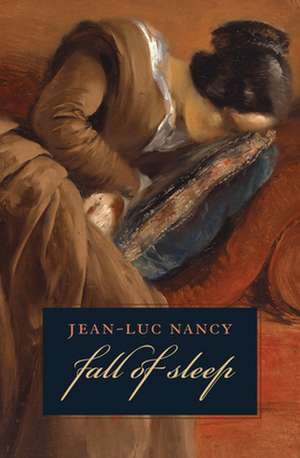 The Fall of Sleep de Jean–luc Nancy