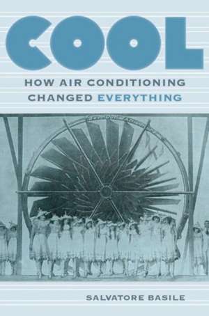 Cool – How Air Conditioning Changed Everything de Salvatore Basile