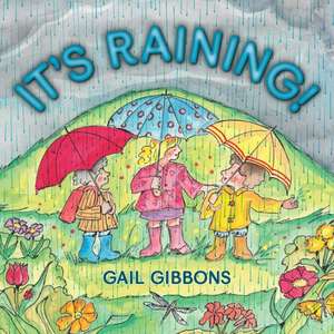 It's Raining! de Gail Gibbons