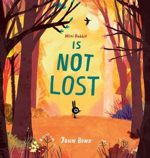 Mini Rabbit Is Not Lost de John Bond