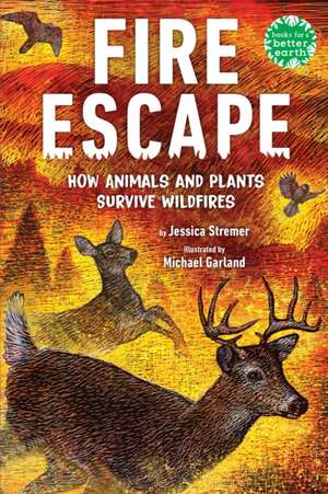 Fire Escape de Jessica Stremer