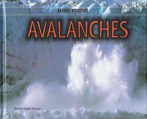 Avalanches de Michele Ingber Drohan